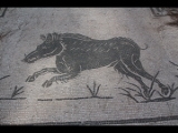 01935 ostia - regio ii - insula vii - piazzale delle corporazioni (ii,vii,4) - station 28 - wildschwein - 2014.jpg